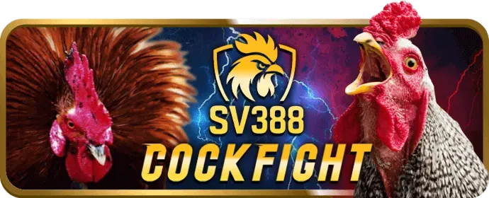 Hình ảnh minh họa sự công bằng và minh bạch trong điều khoản dt88 bet