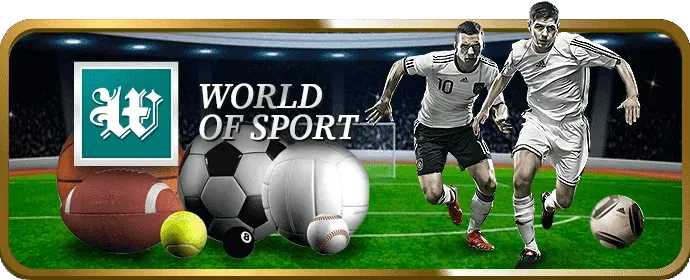 Dịch vụ khách hàng chuyên nghiệp 24/7 của dt88 bet
